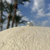 HORIZON (Silver) - Image 2